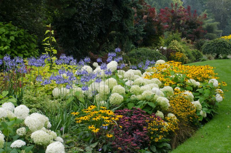 Colorful Flower Display