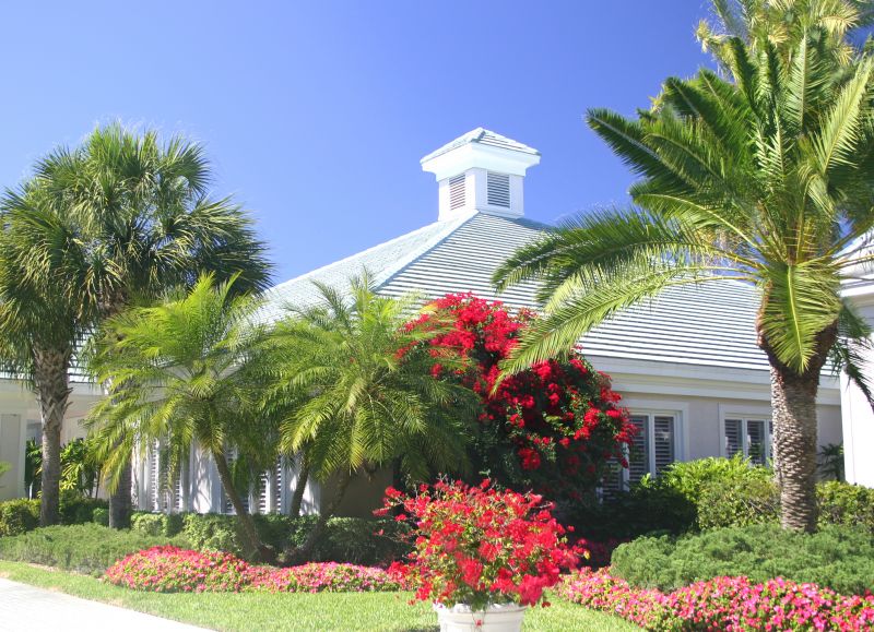 Garden with Bird Of Paradise