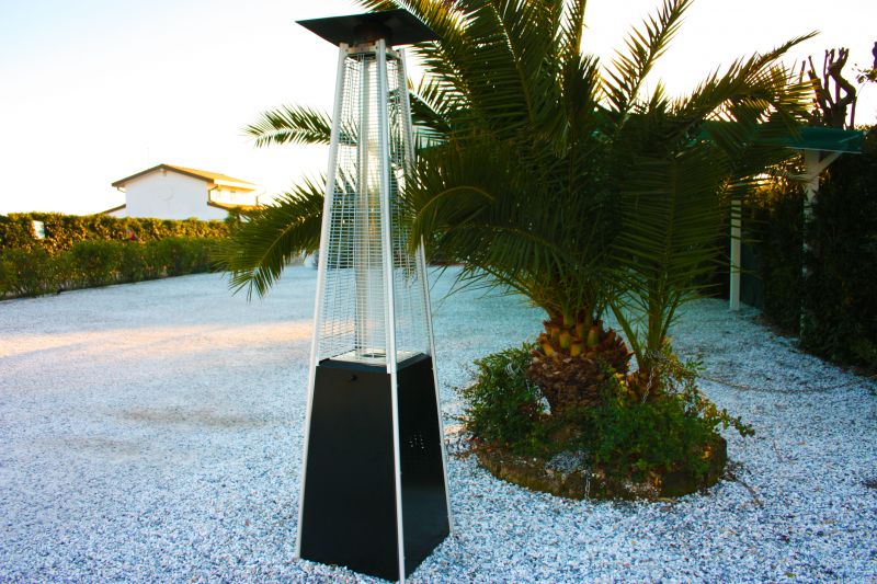 Bird Of Paradise Planting